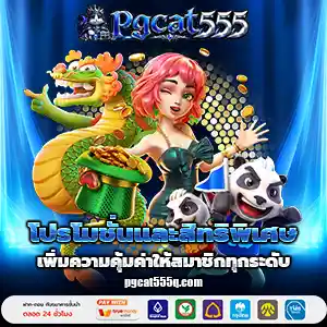 เว็บแท้pgcat 555