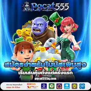 pgcat 555 แตกง่าย